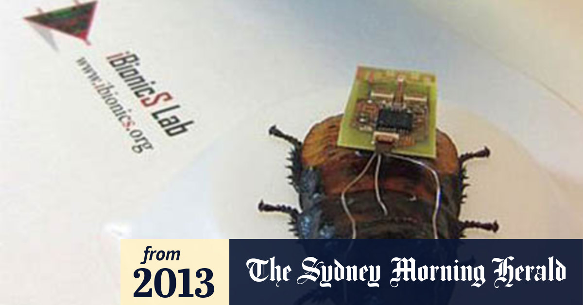 Controlling the minds of cockroaches using Microsoft's Xbox Kinect